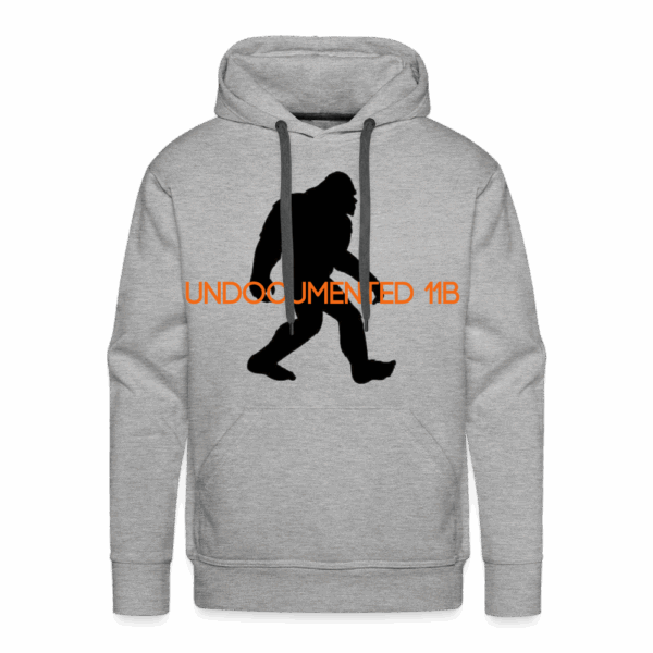 Undocumented 11B - Image 5